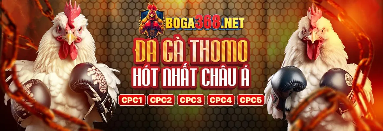 Hình ảnh giới thiệu 888vip trang chủ chính thức